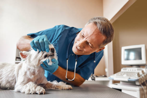Best Broken Tooth Emergency  in Fairview, NY